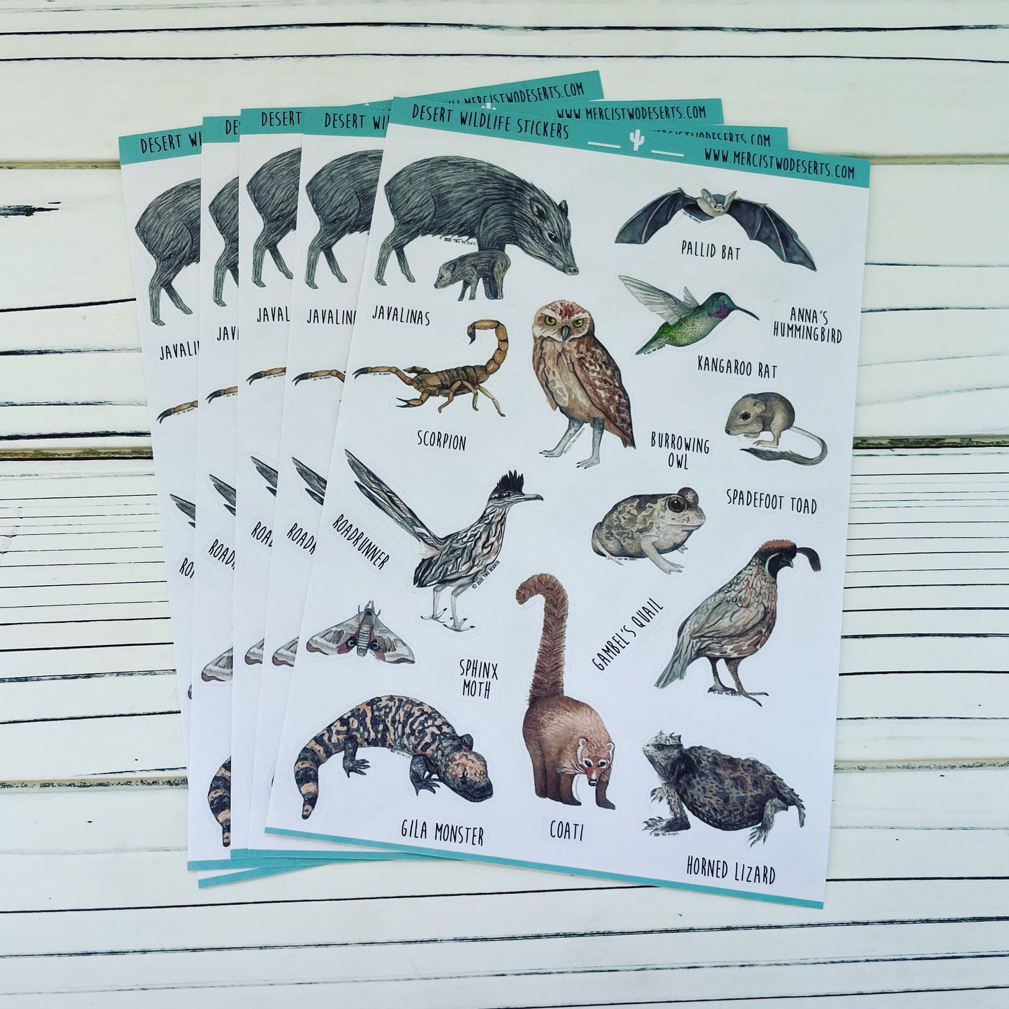 Animal Stickers - Desert Wildlife - Paper Sticker Sheet