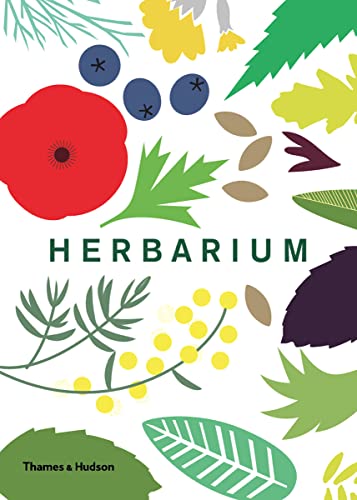 Herbarium / Hildebrand, Caz