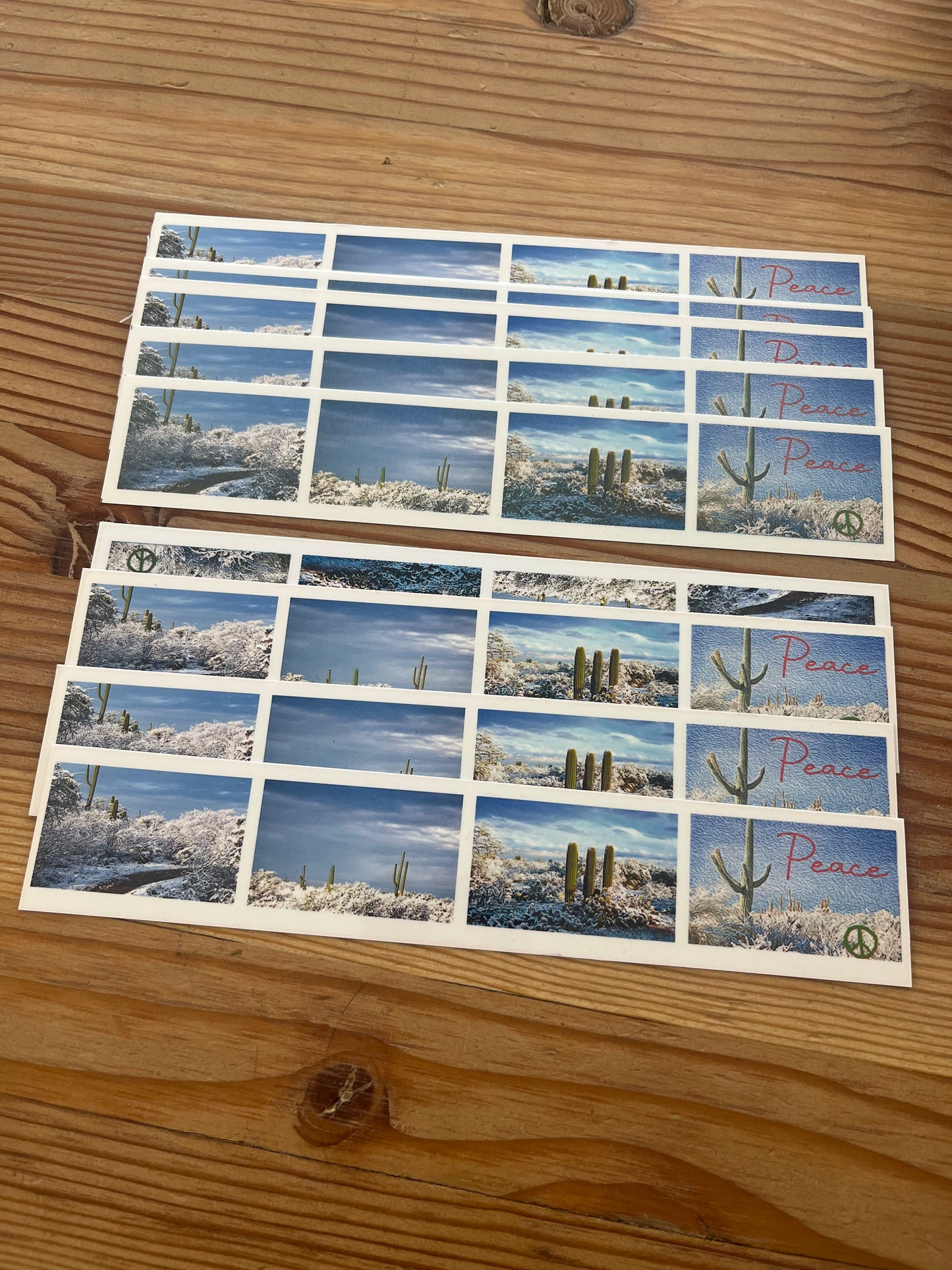 Bookmark - Saguaro National Park East - Winter