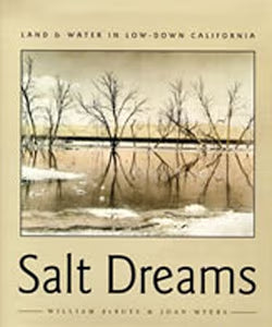 Salt Dreams: Land and Water in Low-Down California / Debuys, William
