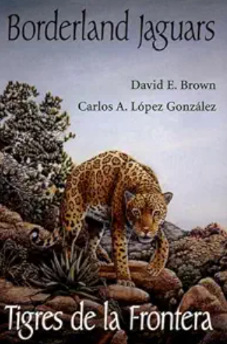 Borderland Jaguars: Tigres de la Frontera / by David E. Brown and Carlos A. López González