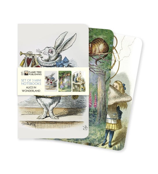 Alice's Adventures in Wonderland Set of 3 Mini Notebooks / Flame Tree Studio