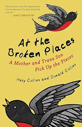 At the Broken Places: A Mother and Trans Son Pick Up the Pieces (Queer Action/Queer Ideas, a Unique Series Addressing Pivotal Issues Within the Lgbtq Movement)/ by Mary Collins and Donald Collins