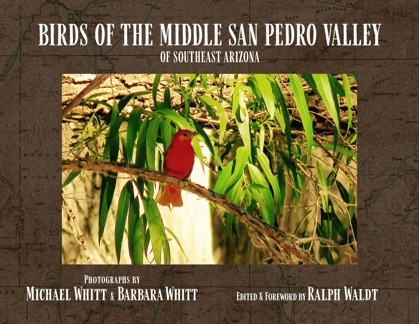 Birds of the Middle San Pedro Valley of Southeast Arizona / edited & foreword by Ralph Waldt; photographs by Michael Whitt & Barbara Whitt