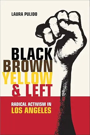 Black Brown Yellow & Left: Radical Activism in Los Angeles / Laura Pulido