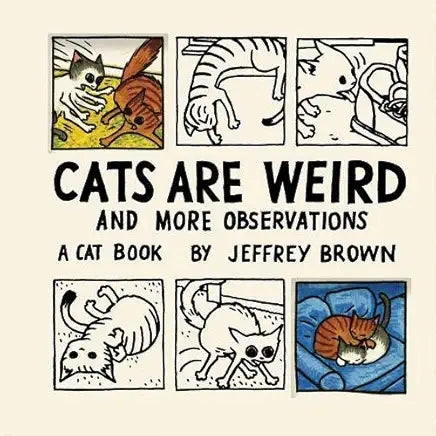 Cats are Weird and More Observations / by Jeffrey Brown