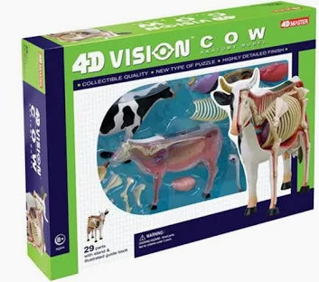 4D Vision Cow