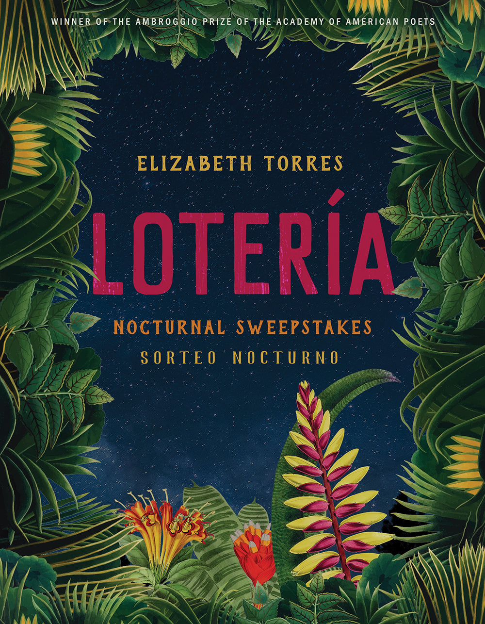 Lotería / by Elizabeth Torres (bilingual edition, English & Spanish)