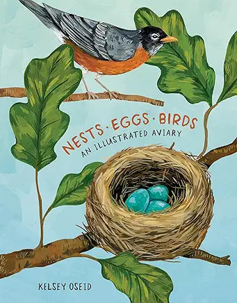 Nests, Eggs, Birds: An Illustrated Aviary / by Kelsey Oseid