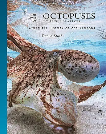 The Lives of Octopuses and Their Relatives: A Natural History of Cephalopods / by Danna Staaf