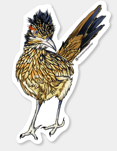 Roadrunner Sticker