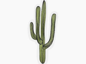 Saguaro Watercolor Sticker