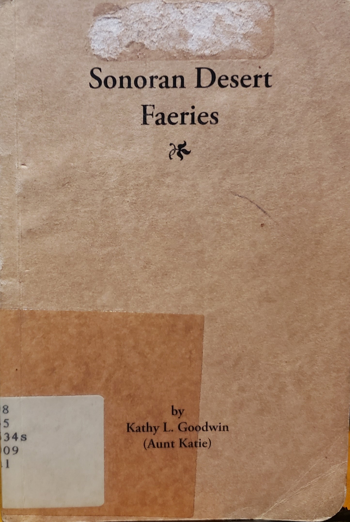 Sonoran Desert Faeries / Kathy L. Goodwin (Aunt Katie)