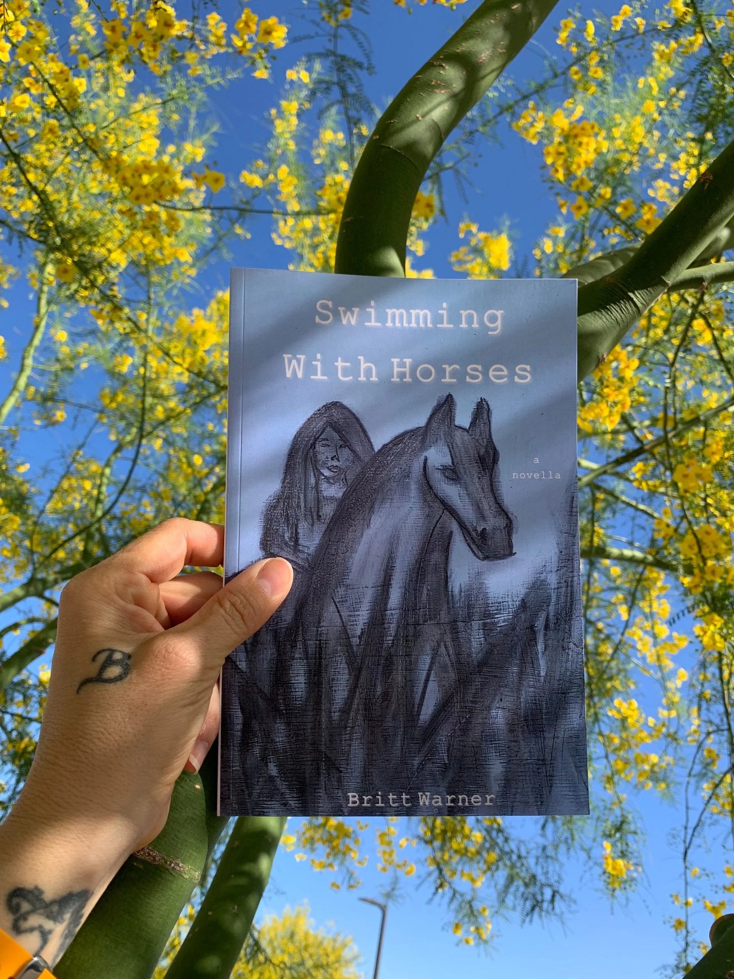 Swimming with Horses: A Novella / by Britt Warner