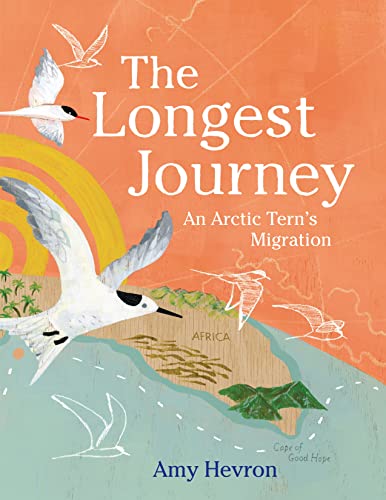 The Longest Journey: An Arctic Tern's Migration / Hevron, Amy