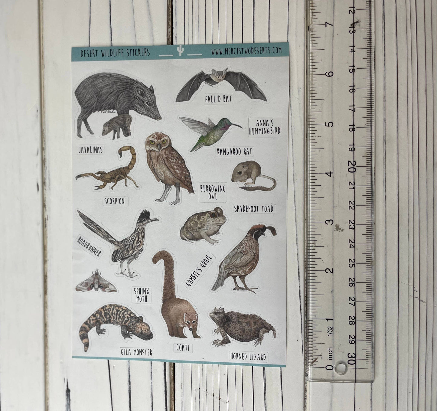 Animal Stickers - Desert Wildlife - Paper Sticker Sheet