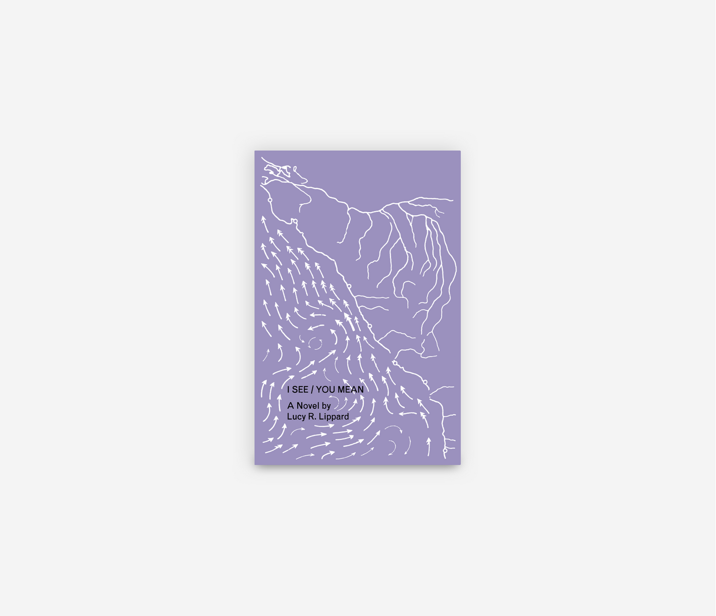 Lucy Lippard: I See / You Mean