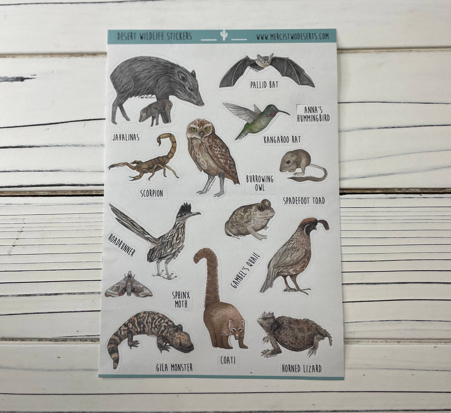 Animal Stickers - Desert Wildlife - Paper Sticker Sheet