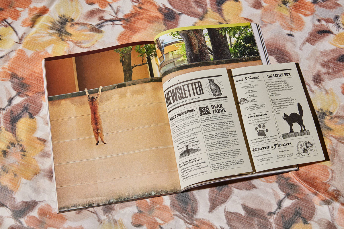 Catnip Magazine: A Magazine for Cat People / Vol 1