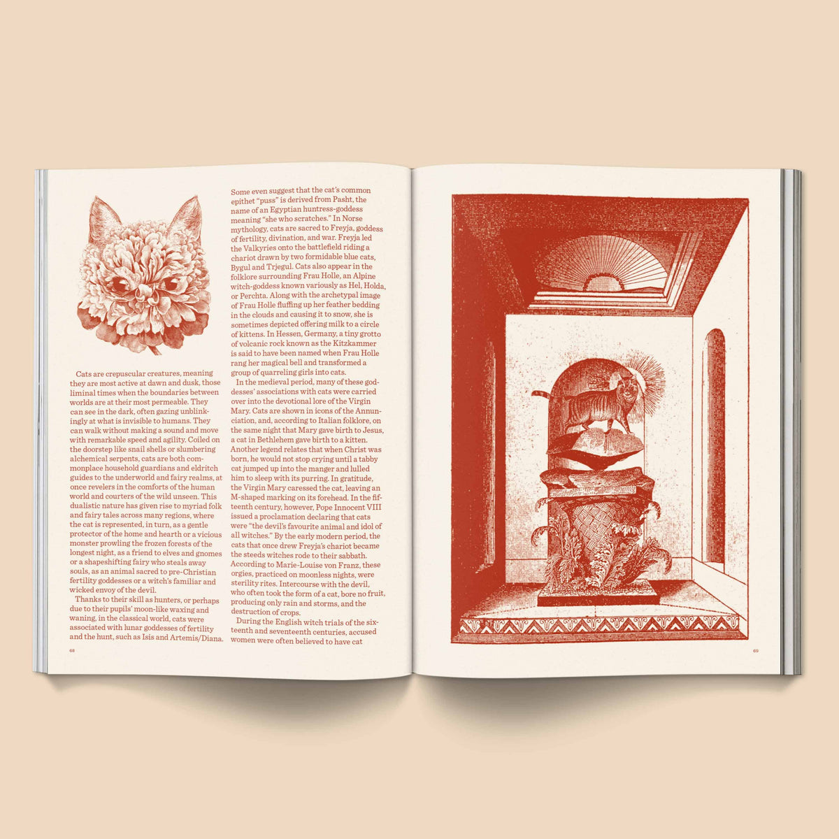 Catnip Magazine: A Magazine for Cat People / Vol 1