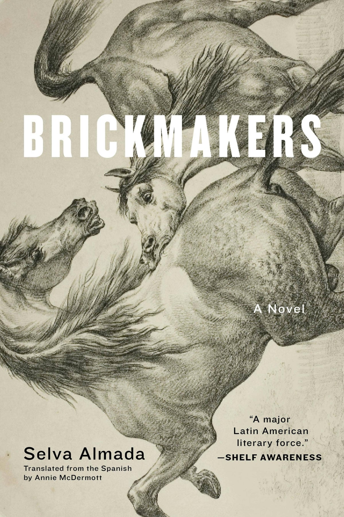 Brickmakers: A Novel / by Selva Almada (NEW)