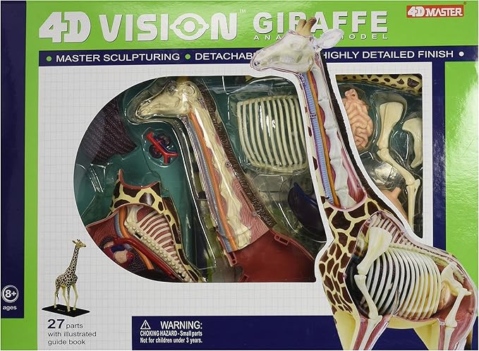 4D Vision Giraffe Anatomy Model / Famemaster