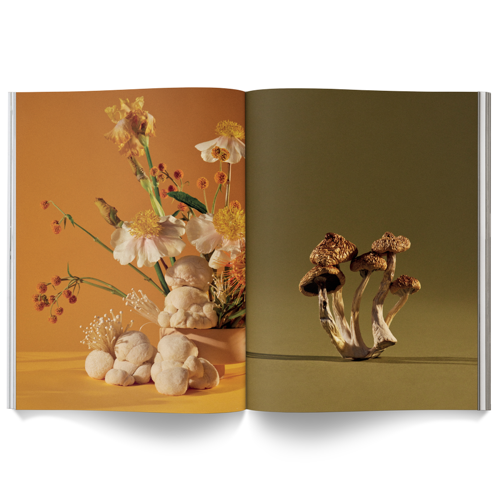 Mushroom People Magazine: A Magazine for Mycophiles