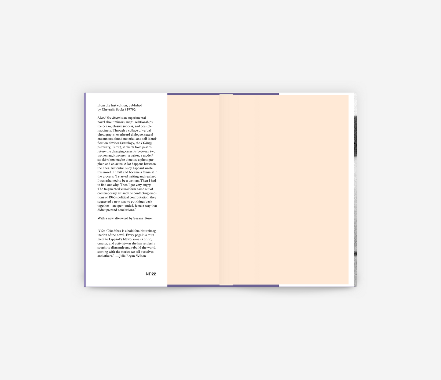 Lucy Lippard: I See / You Mean