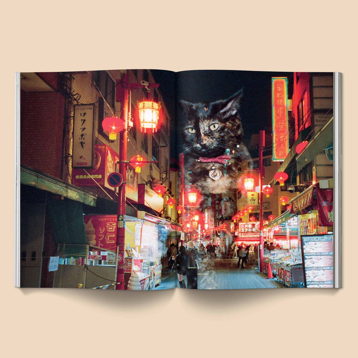 Catnip Magazine: A Magazine for Cat People / Vol 1