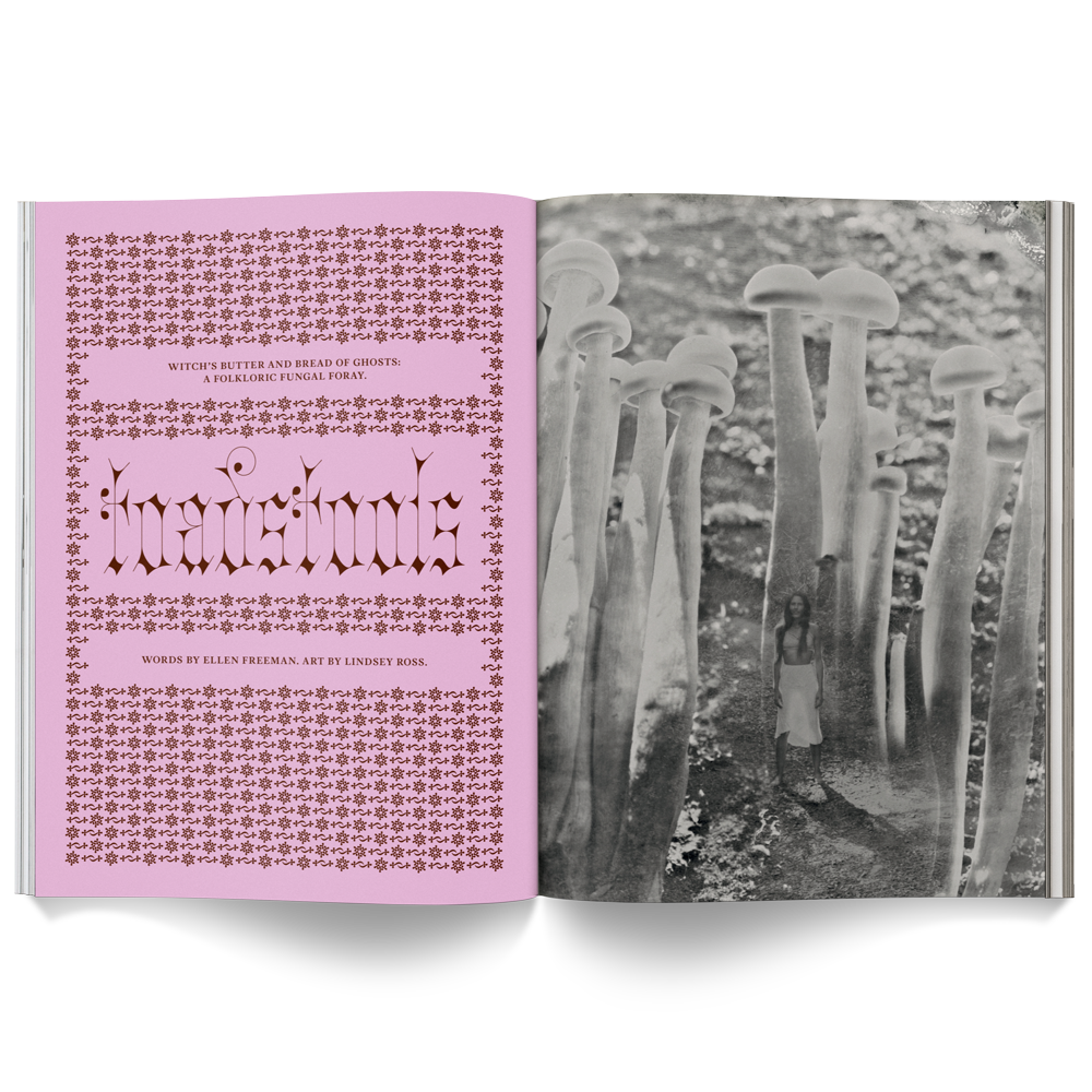 Mushroom People Magazine: A Magazine for Mycophiles