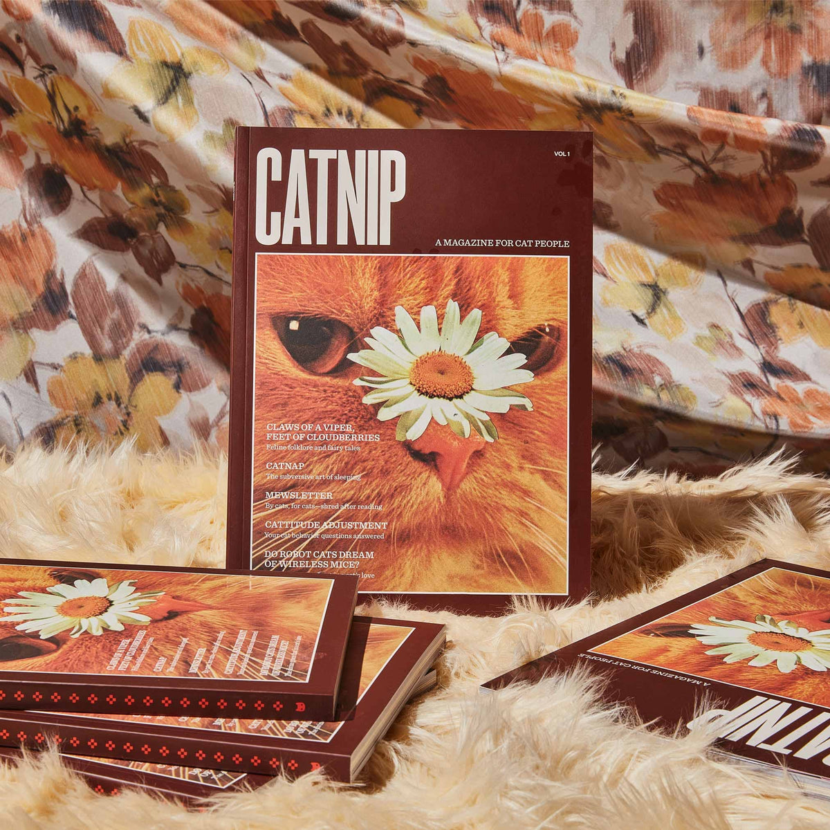 Catnip Magazine: A Magazine for Cat People / Vol 1