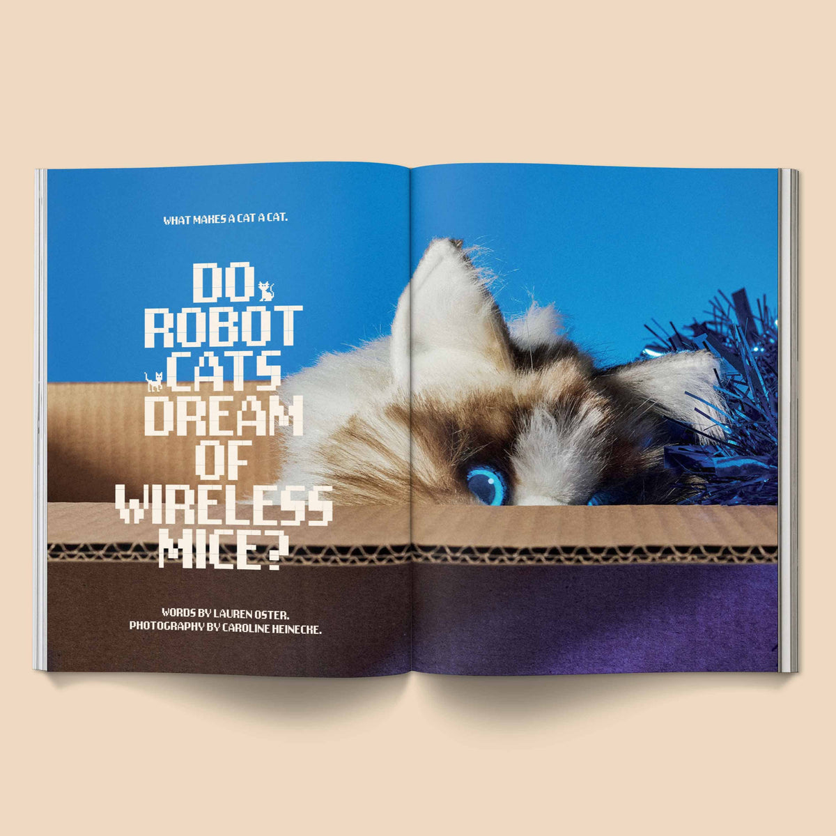 Catnip Magazine: A Magazine for Cat People / Vol 1