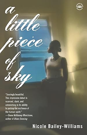 A Little Piece of Sky: A Novel / Williams, Nicole Bailey