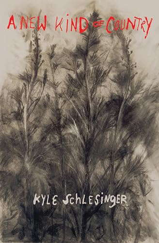 A New Kind of Country / Kyle Schlesinger