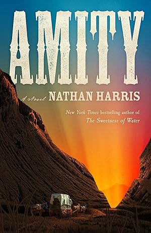Amity: A Novel / Harris, Nathan