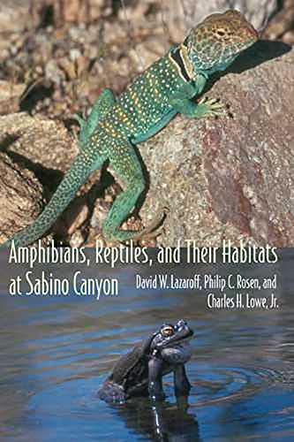 Amphibians, Reptiles, and Their Habitats at Sabino Canyon / David Wentworth Lazaroff,Philip C. Rosen,Charles H. Lowe Jr.