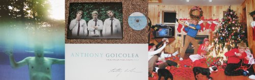 Anthony Goicolea / Anthony Goicolea,Jane Harris