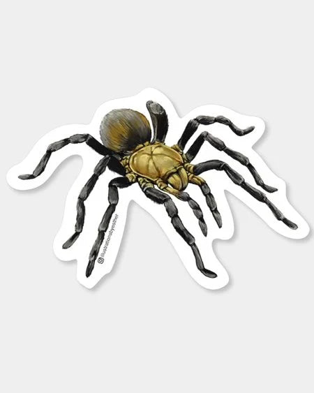 Arizona Blonde Tarantula Sticker