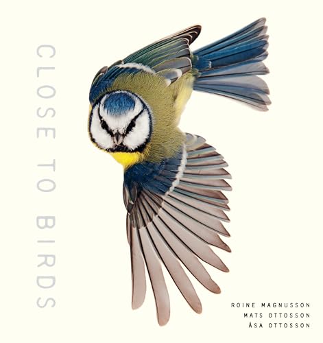 Close to Birds : An Intimate Look at Our Feathered Friends / Ottosson, Mats