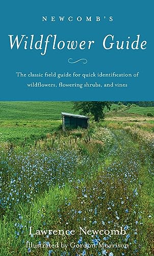 Newcomb's Wildflower Guide / Lawrence Newcomb