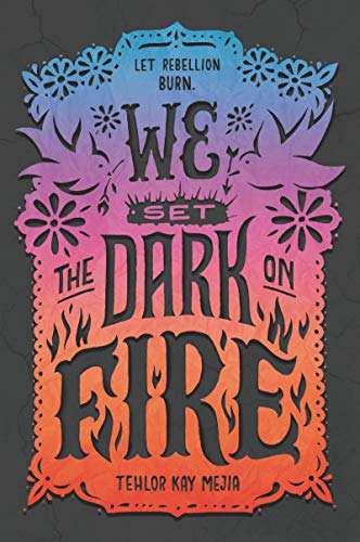 We Set the Dark on Fire / Mejia, Tehlor Kay