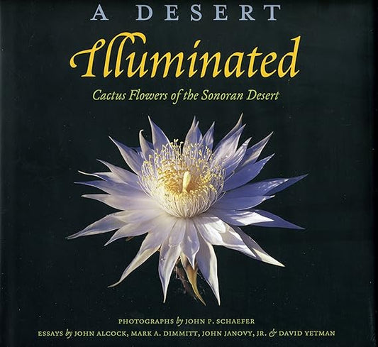A Desert illuminated: Cactus Flowers of the Sonoran Desert / Photographs by John P. Schaefer