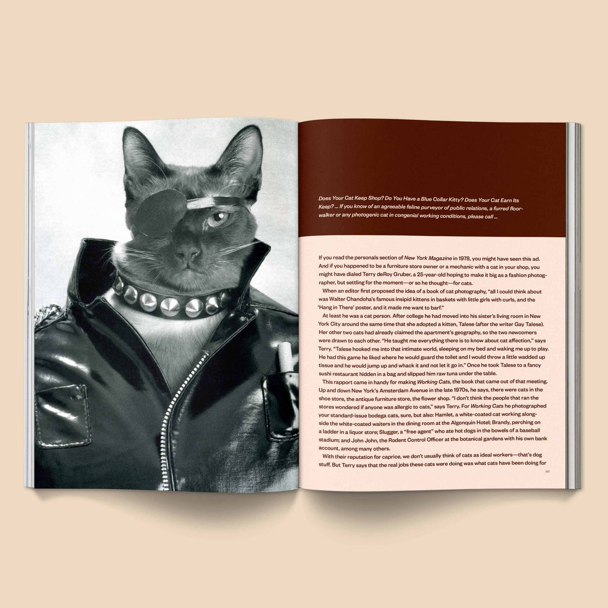 Catnip Magazine: A Magazine for Cat People / Vol 1