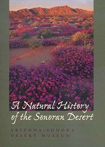 A Natural History of the Sonoran Desert / Phillips, Steven J.& Comus, Patricia Wentworth (Editors)