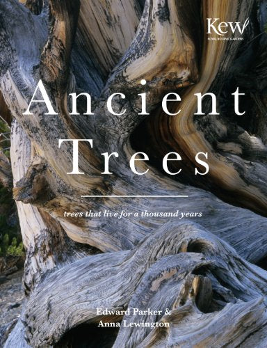 Ancient Trees / Edward Parker