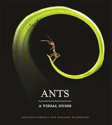 Ants: A Visual Guide / by Heather Campbell and Benjamin Blanchard
