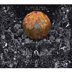 Apollo Sunshine: Shall Noise Upon (Vinyl / LP)