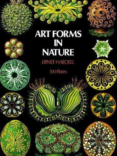Art Forms in Nature / Ernst Haeckel