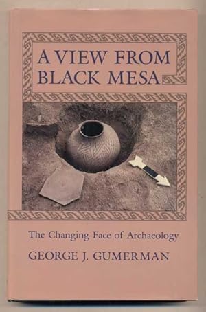 A View from Black Mesa: The Changing Face of Archaeology / George Gumerman