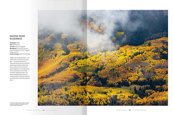 Arizona Wilderness: A Celebration of the 90 Most Pristine Places in the State / by Jonathan Buford